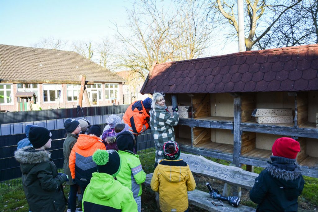 Schulgarten der Grundschule Schortens – nachhaltige Umweltbildung als Wasserschule Niedersachsen