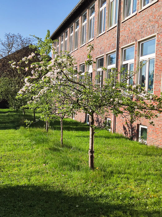 Der Schulgarten der Grundschule Schortens bietet den Kindern die Möglichkeit, Natur hautnah zu erleben und nachhaltig zu lernen.