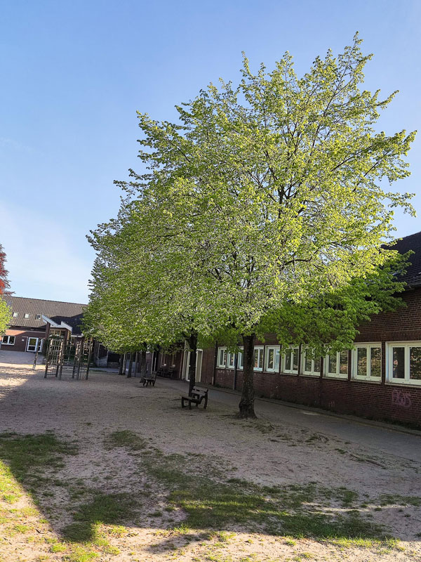 Schulgarten und Schulhof der Grundschule Schortens – nachhaltige Lernorte als Umweltschule und Wasserschule